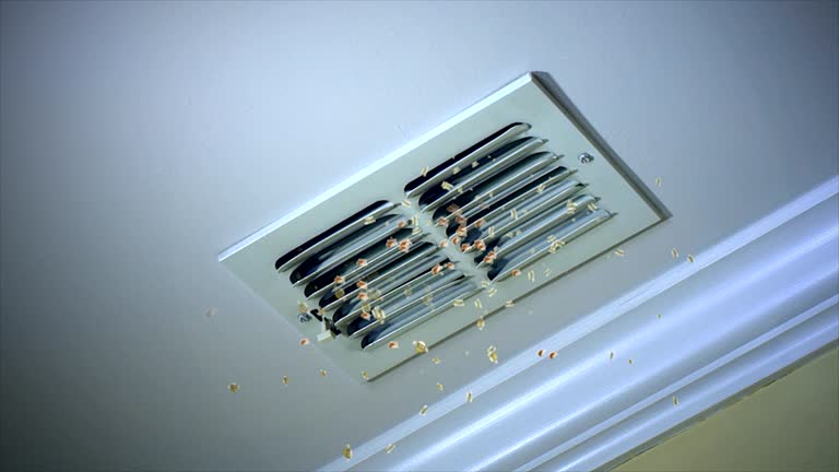 Best Air Duct Cleaning Near Me  in Enterprise, OR