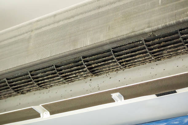 Best Ductwork Cleaning Services  in Enterprise, OR